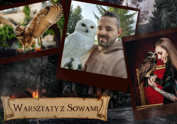 Zaklęty zamek_sowy