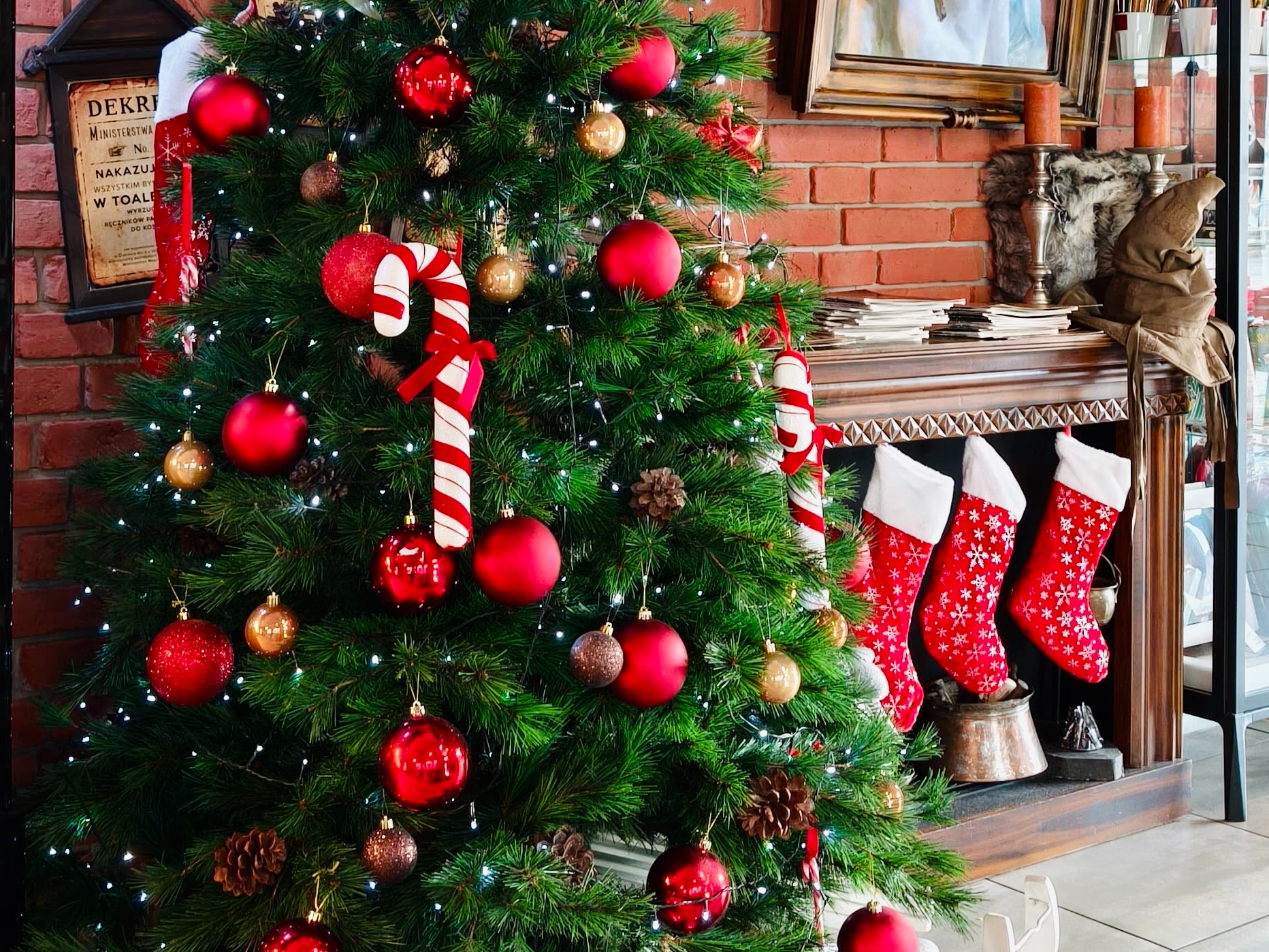 17d94f46-5331-4cb3-9fd5-a0c94196acfc-jpg