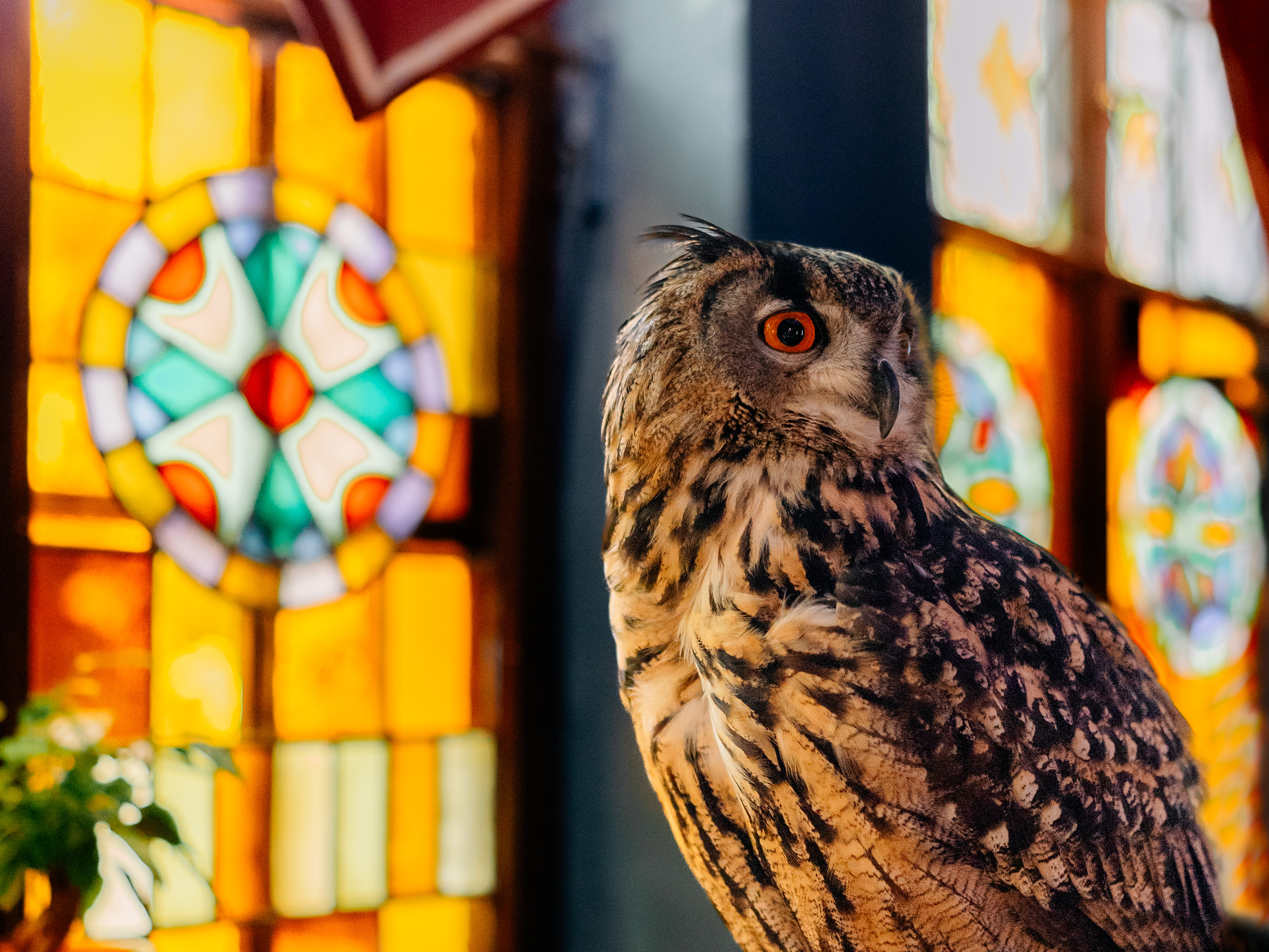 skrzydlata-ferajna-2-jpg